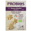 Biscotti fiori di riso allo yogurt 250g Probios