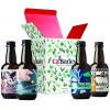 Confezione regalo 4 birre bio (bianca-helles-pils- vienna) 4x330ml