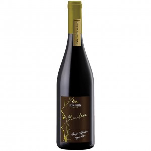 Barbera igt senza solfiti aggiunti 750ml BISIO DEVIS