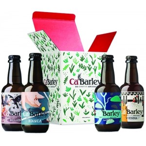 Confezione regalo 4 birre bio (bianca-helles-pils- vienna) 4x330ml