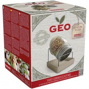 Germogliatore in Vetro Vaso Geo